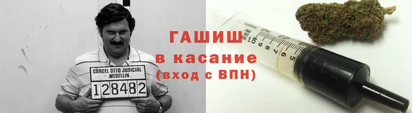 прущие грибы Корсаков