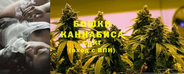 дмт Краснослободск