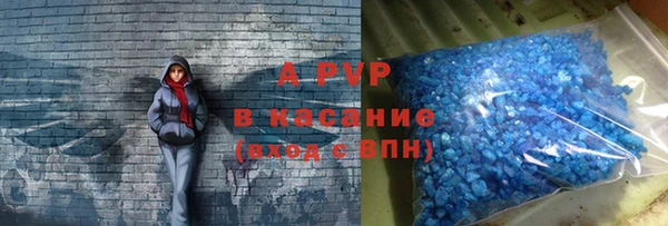 прущие грибы Заполярный