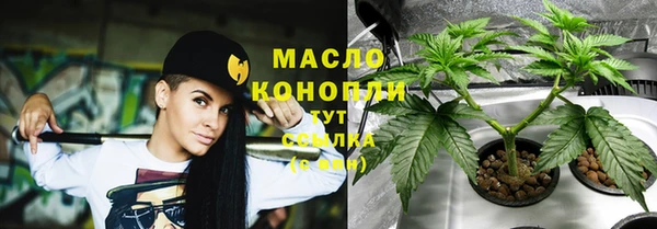 дмт Краснослободск