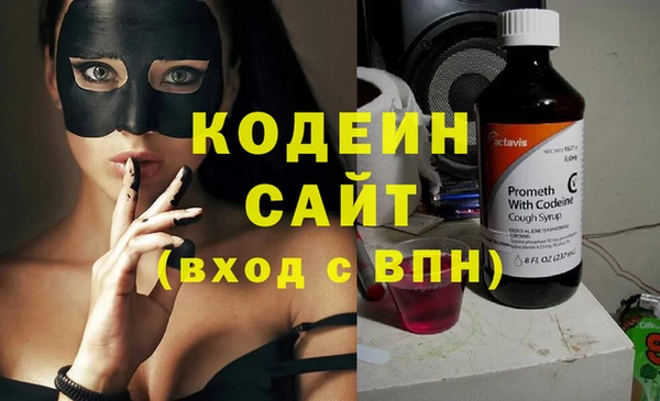 прущие грибы Корсаков