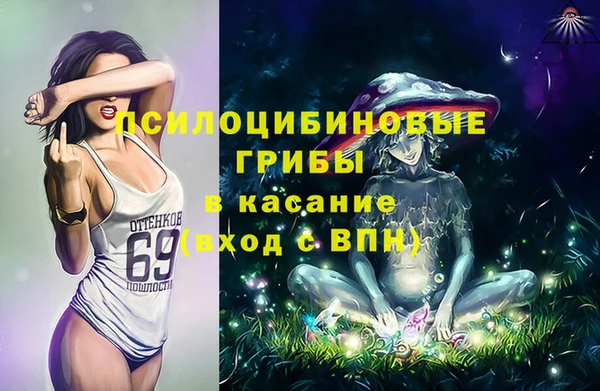 дмт Краснослободск