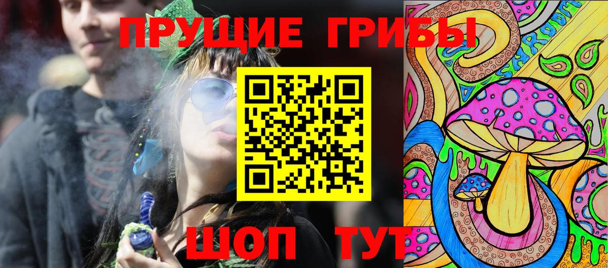 Галлюциногенные грибы Psilocybine cubensis Луховицы