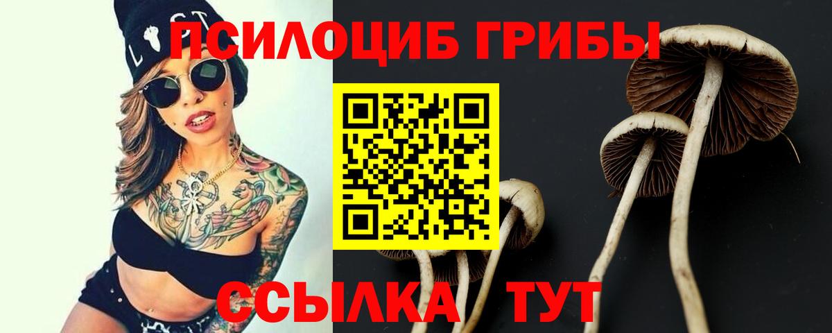 Луховицы  Галлюциногенные грибы Psilocybe  Вход с VPN 